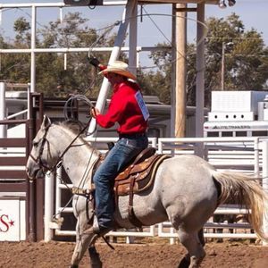 Meet your Posher, Fletcher